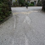 rain damage