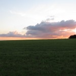 IMG_2410
