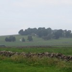 IMG_2475