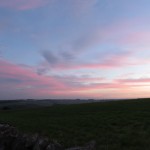 IMG_2500