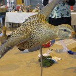 winner bird carving
