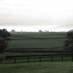 IMG_2747