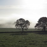 mist rolling across the fields