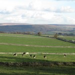 View from Derwent lounge window