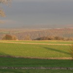 IMG_3120