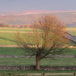 IMG_3121