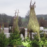 Reindeer display at Market