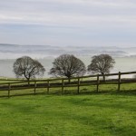 IMG_3183