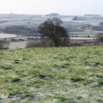 IMG_3270