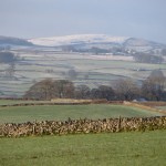 IMG_3271