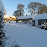IMG_3404_1