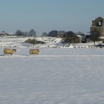 IMG_3435