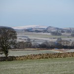 IMG_3587