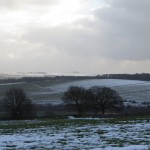 IMG_3695