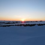 IMG_3841