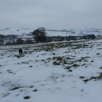 IMG_3894