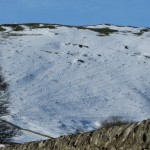 IMG_3936