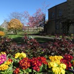 Bakewell Spring Gardens in Spring colours