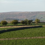 IMG_4479