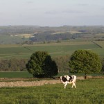 IMG_4914