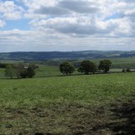 IMG_5005