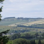 IMG_5112