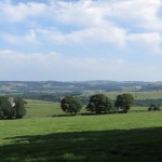 IMG_5531