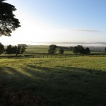 IMG_6270