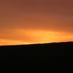 IMG_6278