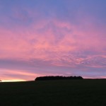IMG_6294