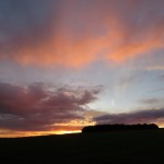 IMG_6593