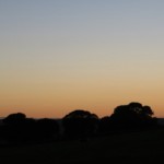IMG_6732