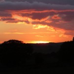 IMG_7346