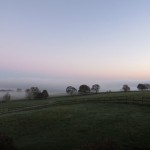 IMG_7556