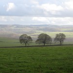 IMG_7564