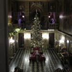 IMG_7887