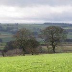 IMG_8326