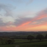 IMG_8340