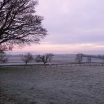 IMG_8444_1