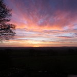 IMG_8457