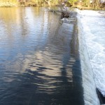 IMG_8569