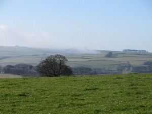 IMG_8665
