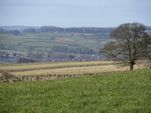 IMG_8666
