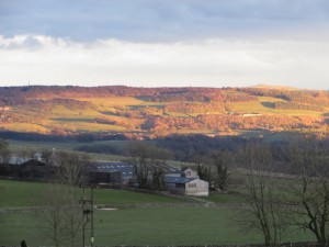 IMG_8732