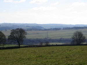 IMG_8882