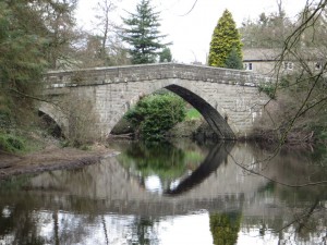 IMG_8954