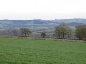 IMG_9195