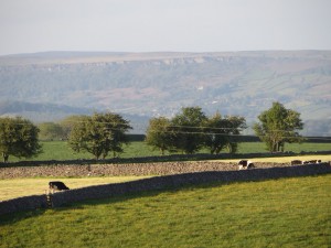 IMG_0022_1