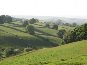 IMG_0031_1