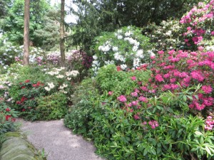 IMG_0176_1